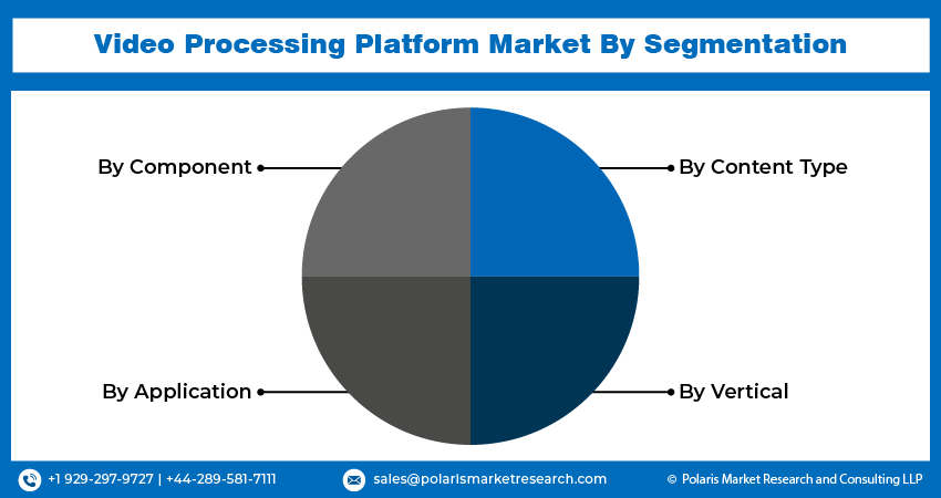 Video Processing Platform Market share